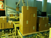Palletizing-Robot