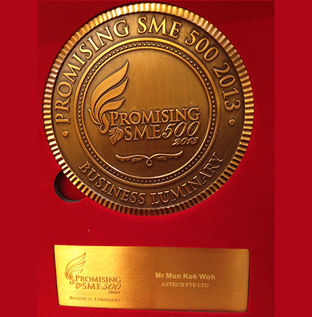 Promising SME 500 2013