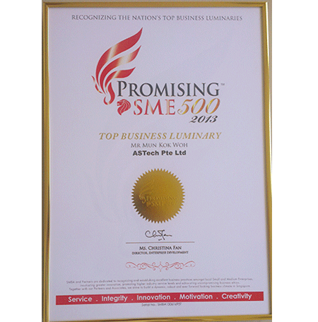 Promising SME 500 2013